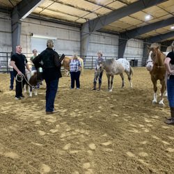 Mental Health Clinic of Greenville - Equine Assisted Therapy