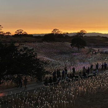 Sensorio - As the sun sets and the lights start to come on - Art Galleries Near Me - Paso Robles, California Sensorio - As the sun sets and the lights start to come on - Art Galleries Near Me - Paso Robles, California