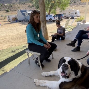 Sunny Day Acres - Relaxing with the gang & sharing stories - Pet Training Near Me - Agua Dulce, California Sunny Day Acres - Relaxing with the gang & sharing stories - Pet Training Near Me - Agua Dulce, California