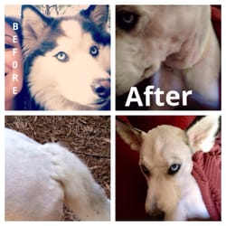 Petsense - This picture speaks for itself