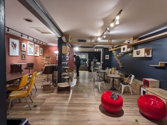 Denver Cat Company by null