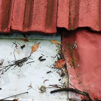 Overland Pest Control - Pest Control Near Me