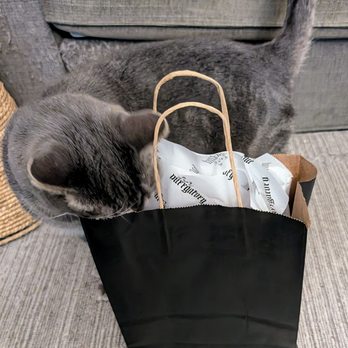 Purrgatory - Beautiful packaging, perfect for gifting. - Gift Shops Near Me - San Diego, California Purrgatory - Beautiful packaging, perfect for gifting. - Gift Shops Near Me - San Diego, California