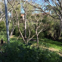 Kiwanis Park - The topside view at one of the widest points. Area with Picnic tables.