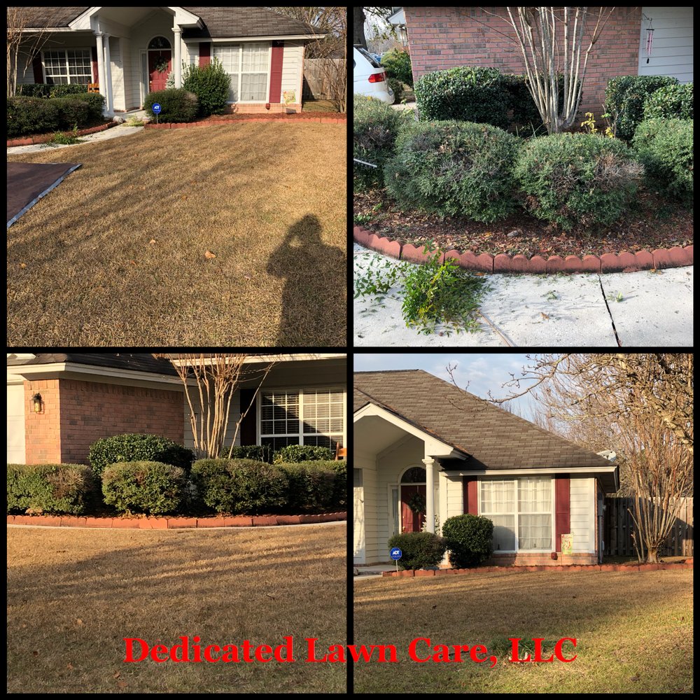 Dedicated Lawn Care - tree service in Rincon, GA