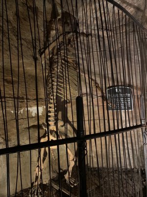 Lost Canyon Cave and Nature Trail by null