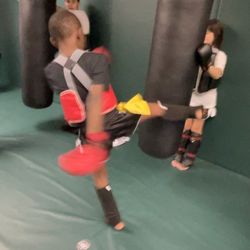The Desert Dojo
