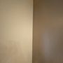 Roshy's Painting