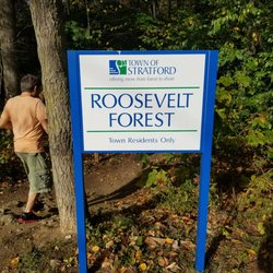 Roosevelt Forest