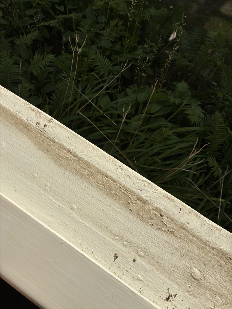 SMILING WINDOWS - Updated February 2026 - 71 Photos & 59 Reviews ...