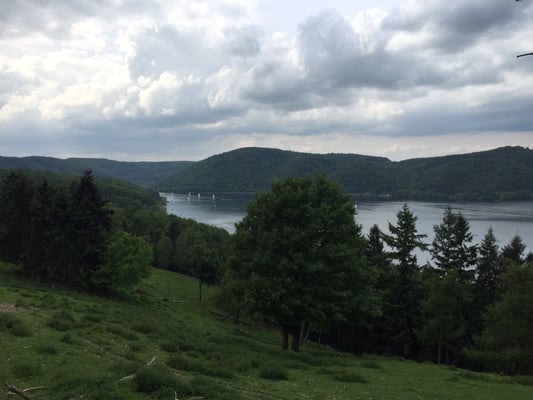 Wildpark Edersee by null