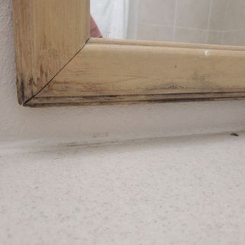 University Inn Chico - Pretty sure this is mold... - Hotels Near Me - Chico, California University Inn Chico - Pretty sure this is mold... - Hotels Near Me - Chico, California