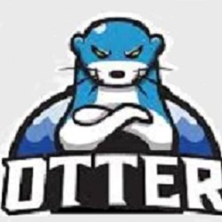 Sea Otter Shirts