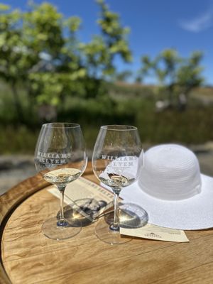 Williams Selyem Winery by null