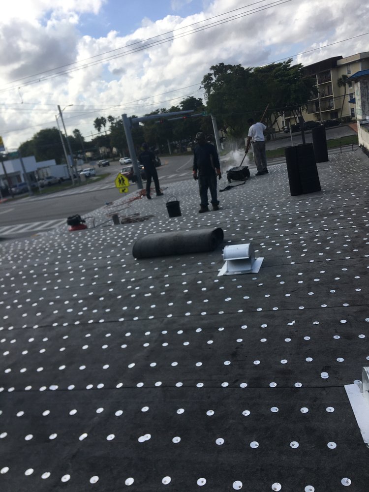 Slide of Tree Of The World Roofing