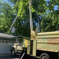 Clemons Tree Experts & Land Clearing