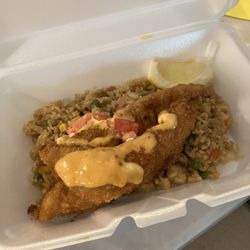 KOI on the go - Port style fish