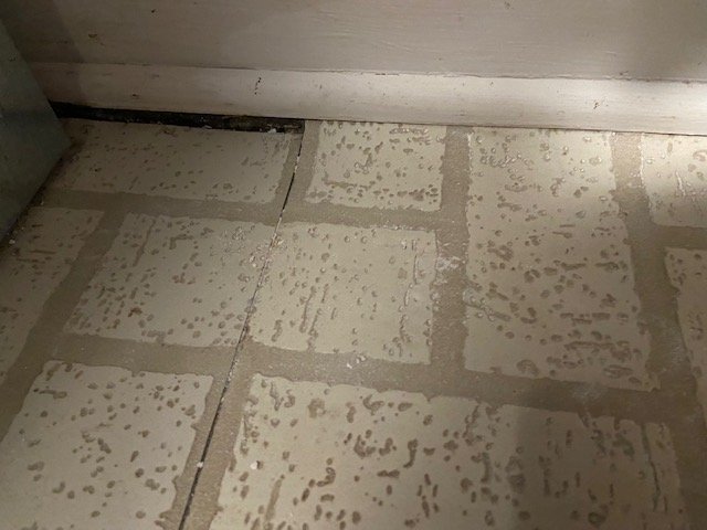 Slide of Viper Plumbing & Leak Detection Services