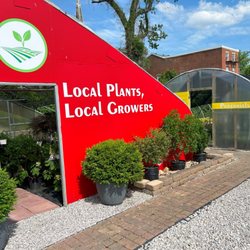 Firehouse Nursery - We offer a variety of landscaping plants including boxwoods, lilacs, clethra, and more!