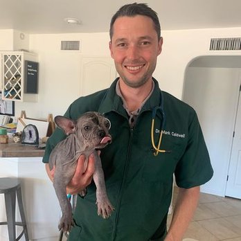 Phoenix Mobile Veterinarians - Veterinarians Near Me - Scottsdale, Arizona Phoenix Mobile Veterinarians - Veterinarians Near Me - Scottsdale, Arizona