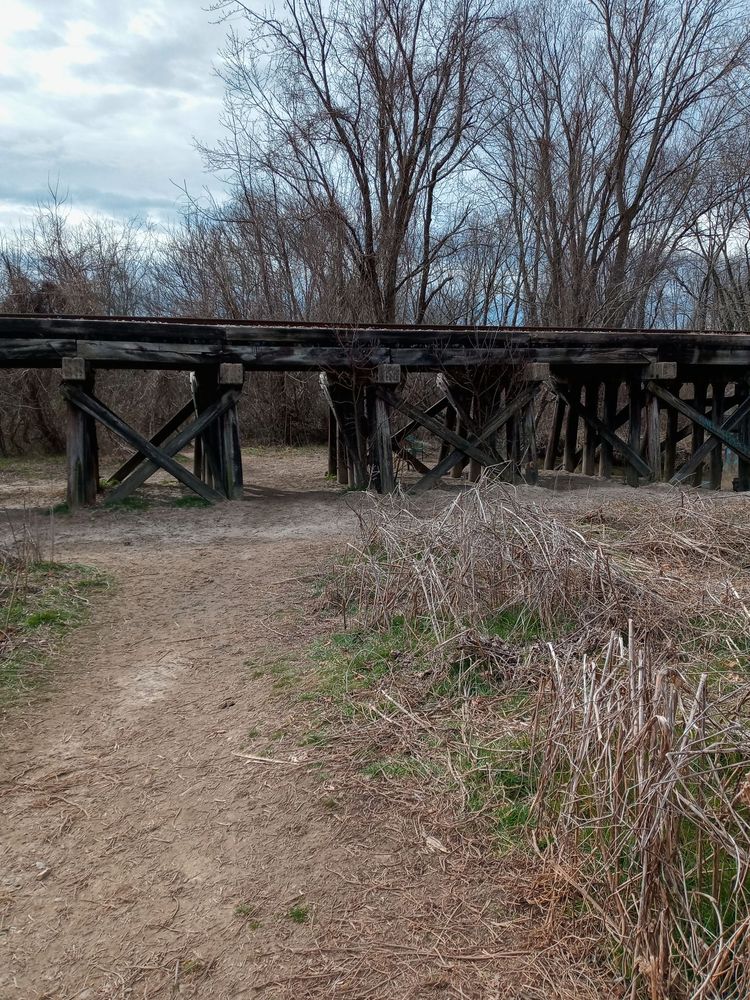 JACKSON PARK DOG PARK 708 Glover St, Hendersonville, NC Yelp