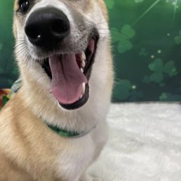 Kenai Kenai