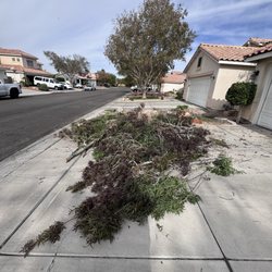 McGinnis Tree Care