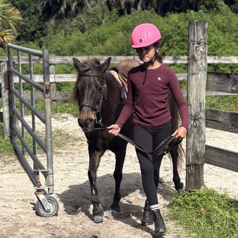 Malachi Acres - Horseback Riding Near Me - Parkland, Florida