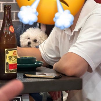 Ni Chou Sha Kitchen - Dog inside - Chinese Near Me - Santa Clara, California Ni Chou Sha Kitchen - Dog inside - Chinese Near Me - Santa Clara, California