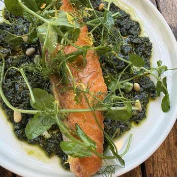 Zaytinya - SEARED SALMON - Greek Near Me - Culver City, California Zaytinya - SEARED SALMON - Greek Near Me - Culver City, California