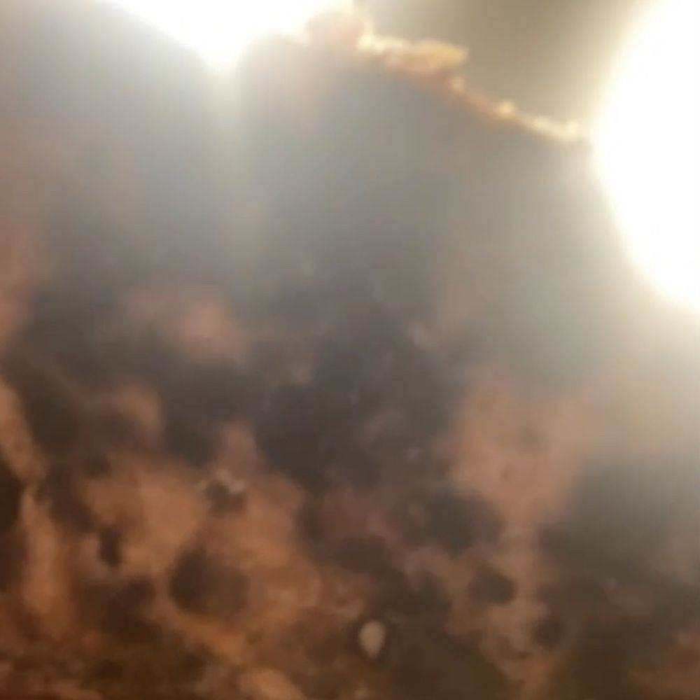 MOD Pizza - Burnt Pizza - Fast Food Near Me - Walnut Creek, California MOD Pizza - Burnt Pizza - Fast Food Near Me - Walnut Creek, California