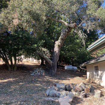 Sam's Tree Service - Finished product - Tree Services Near Me - Creston, California