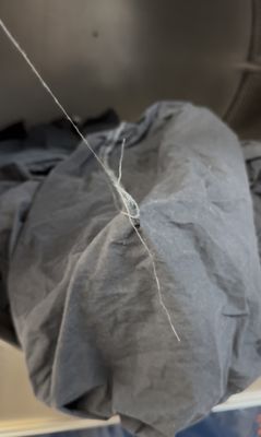 Parachute Home by null