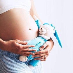 3D 4D Ultrasound by 4D Special Delivery - Embrace your pregnancy with one Free Recording of your baby's heartbeat inside teddy bear