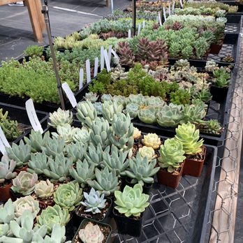Evergreen Farm - Nurseries & Gardening Near Me - San Jose, California Evergreen Farm - Nurseries & Gardening Near Me - San Jose, California