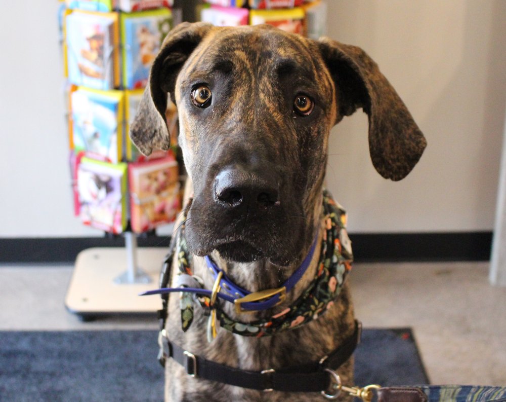 Chuck & Don's Pet Food & Supplies Image