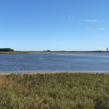 Cape Henlopen State Park - Gordons Pond - Parks Near Me - Lewes, Delaware Cape Henlopen State Park - Gordons Pond - Parks Near Me - Lewes, Delaware