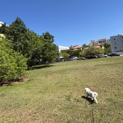 Coral Gables