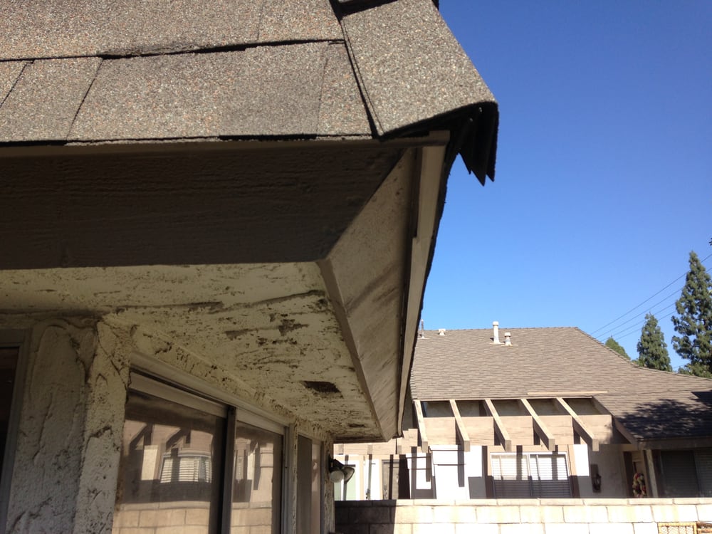 Slide of Joshua King Independent