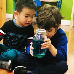 Laughter Educare Bilingual Montessori Preschool