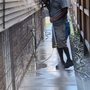 Photo of Brothers Window Cleaning