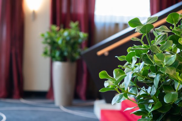Hotel Fulda Mitte by null