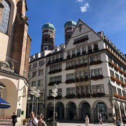 Weisser Stadtvogel