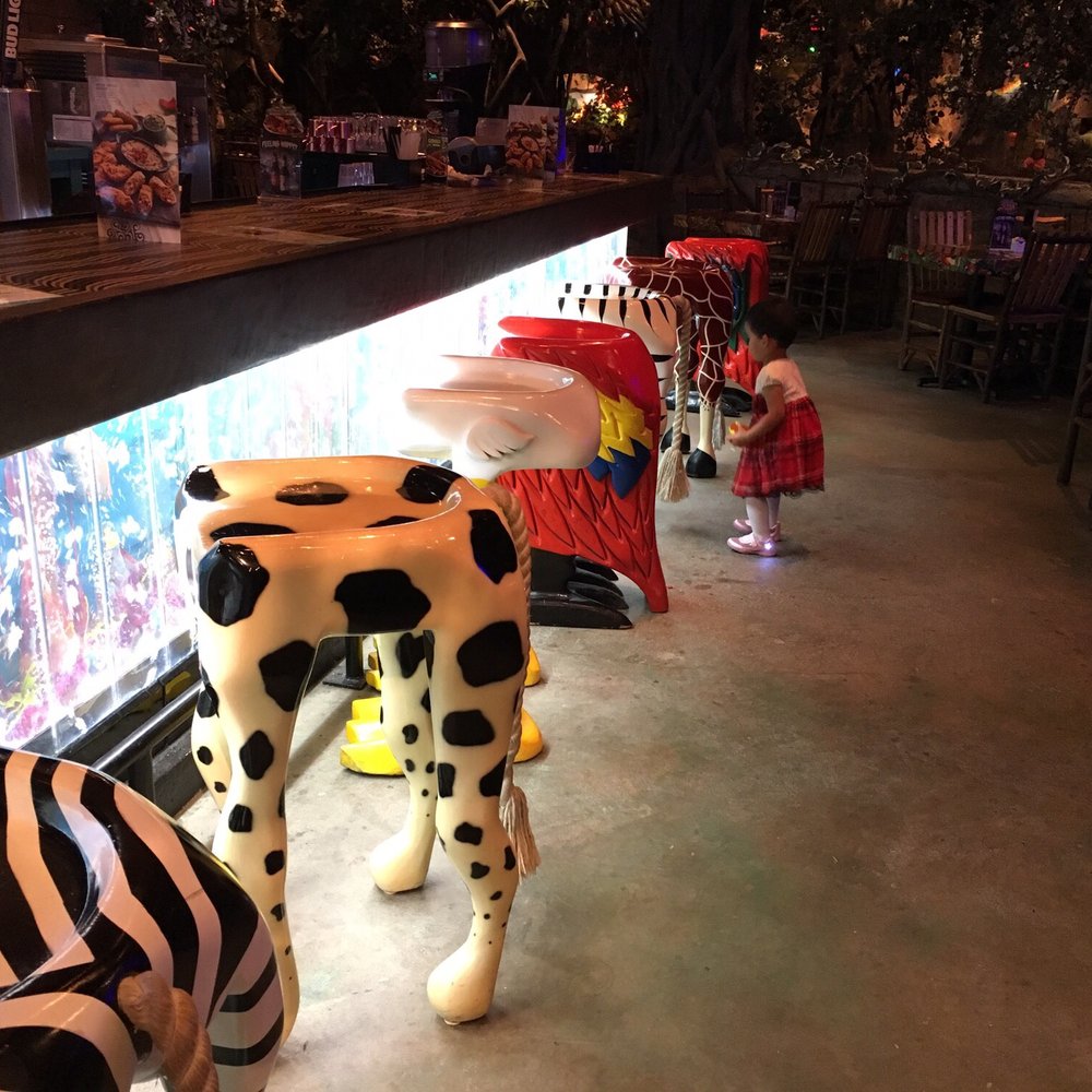 Rainforest Cafe - Fun animal bottom bar stools - American Near Me - Katy, Texas Rainforest Cafe - Fun animal bottom bar stools - American Near Me - Katy, Texas