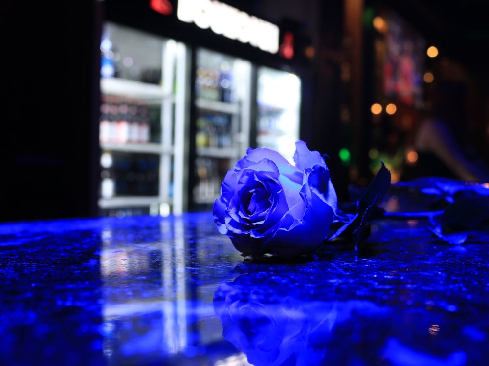 BOUZOUKI STRIP CLUB 34 Photos & 23 Reviews Adult Entertainment