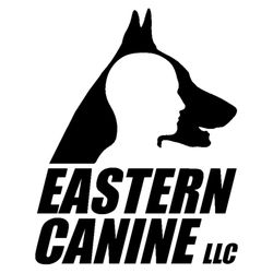 Eastern Canine