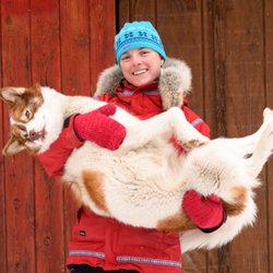 Wintergreen Dogsled Lodge - Alice loves hugs (just as much as she loves to pull your sled!)