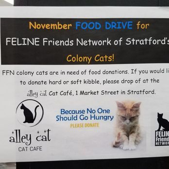 Alley Cat Cafe - Animal rescue mission - Themed Cafes Near Me - Stratford, Ontario Alley Cat Cafe - Animal rescue mission - Themed Cafes Near Me - Stratford, Ontario