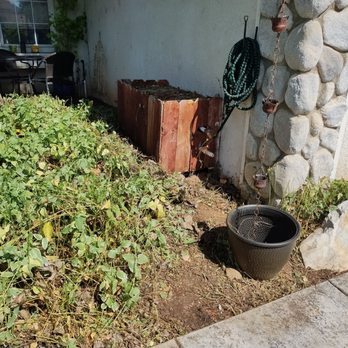 Diego’s Landscaping & Tree Care Services - The vinca was out of hand, covering everything, and they cleared it all. - Landscaping Near Me Diego’s Landscaping & Tree Care Services - The vinca was out of hand, covering everything, and they cleared it all. - Landscaping Near Me