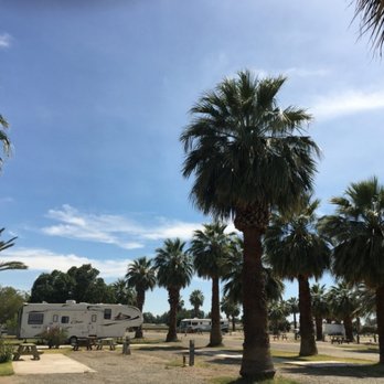 Sans End - A view of the palm trees that are throughout the park - RV Parks Near Me - Winterhaven, California Sans End - A view of the palm trees that are throughout the park - RV Parks Near Me - Winterhaven, California